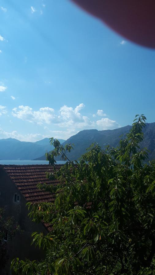 Apartments Katarina Kotor Exteriér fotografie